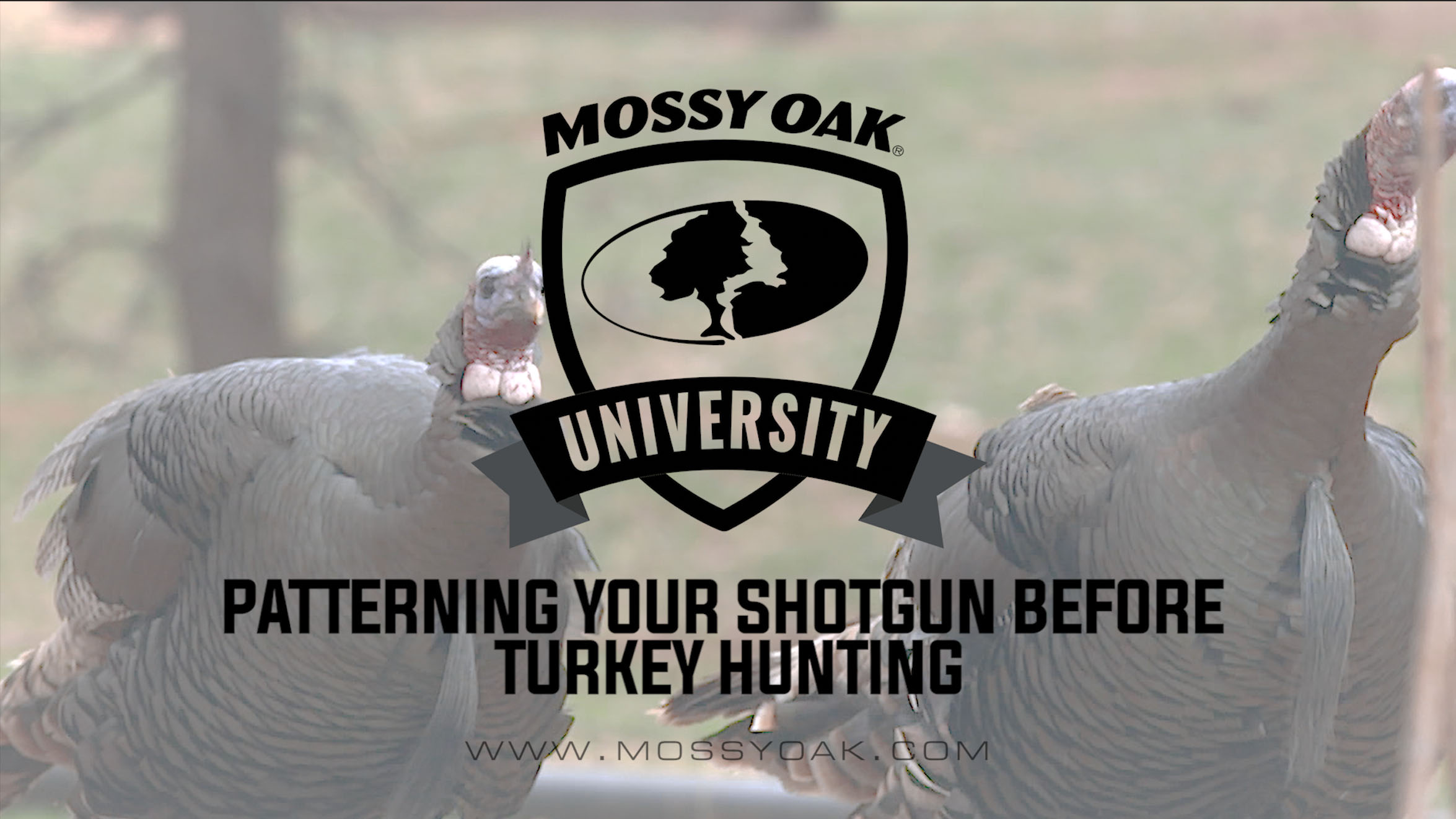 Patterning your Shotgun Before Turkey Hunting