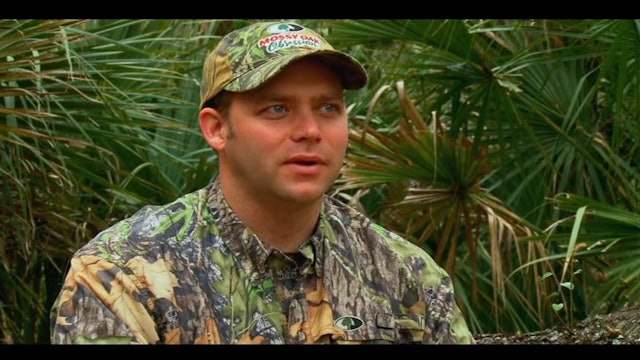 Growing Up In The Field • Turkeys in Florida