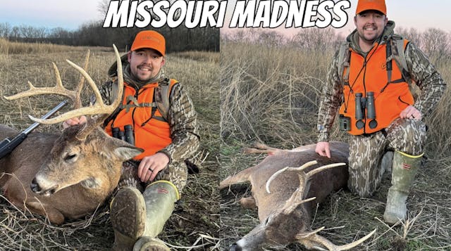 Missouri Madness • Whitetail Edge