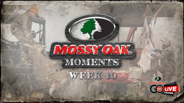 Live: 11.9.2020 Mossy Oak Moments Replay