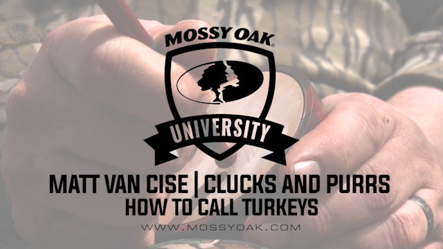 How to Call Turkeys - Clucks and Purrs - Matt Van Cise