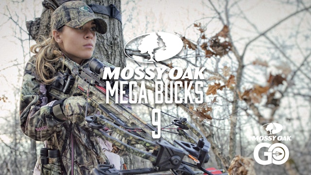 Mega Bucks 9