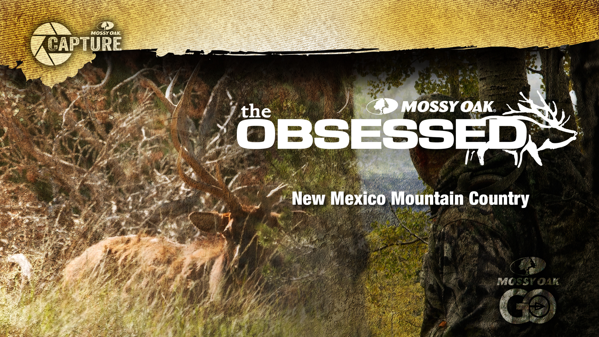 New Mexico Mountain Country • Muzzleloader Elk Hunting