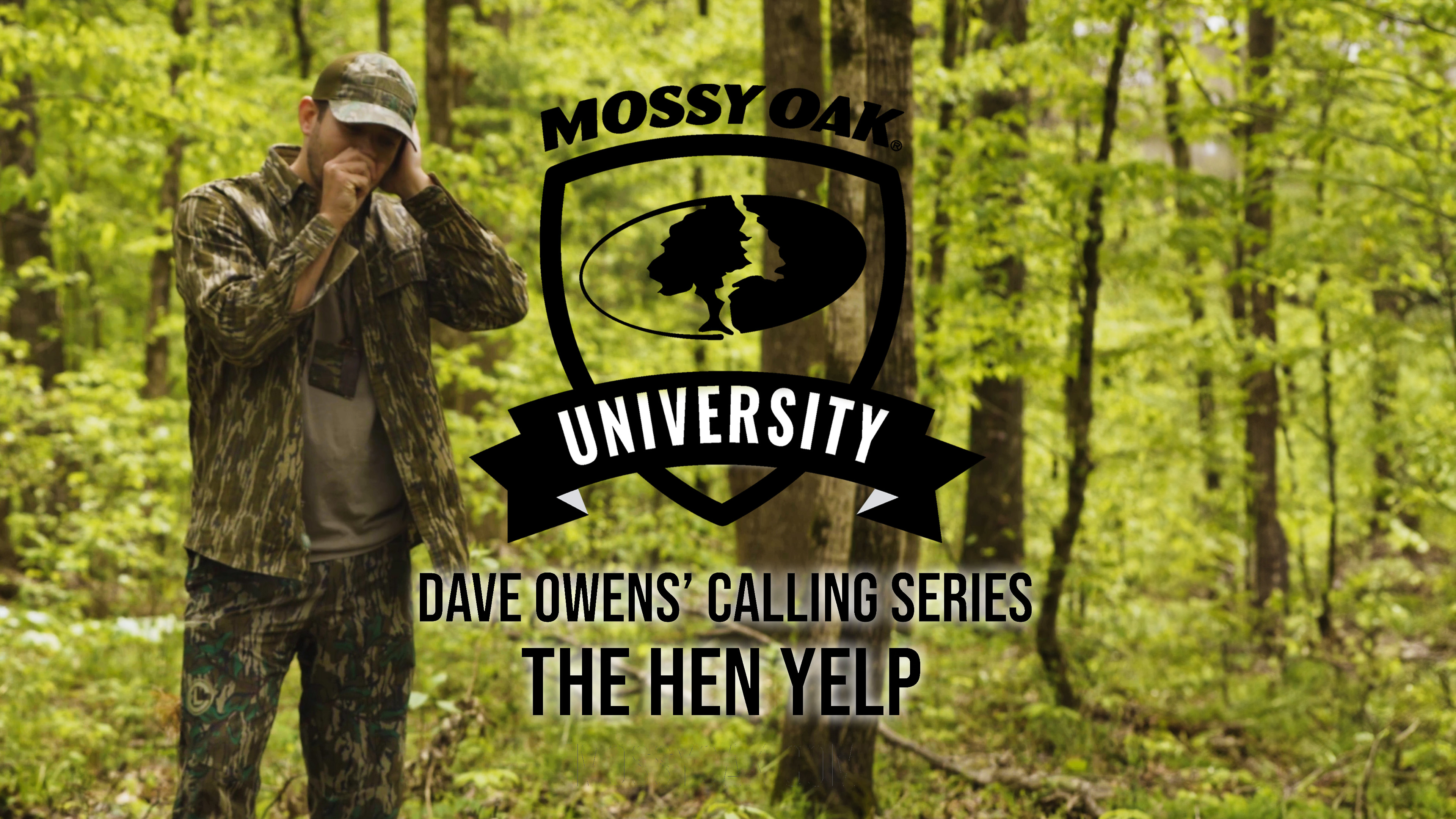 Dave Owens’ Turkey Calling Tips: THE HEN YELP