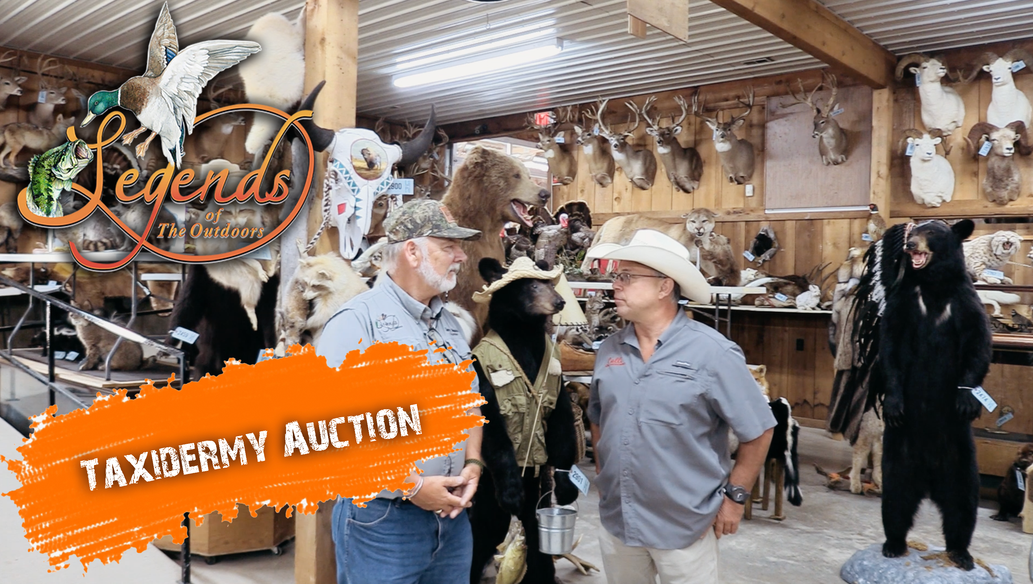 Late Season Kansas Bucks • Legends of the Outdoors