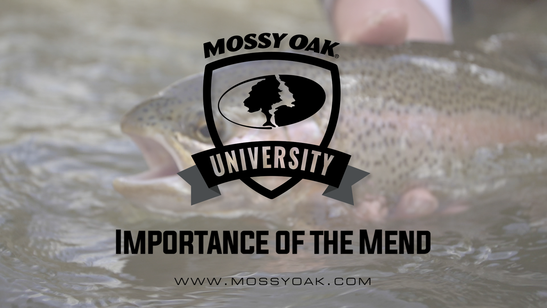 Importance of the Mend • Mossy Oak University