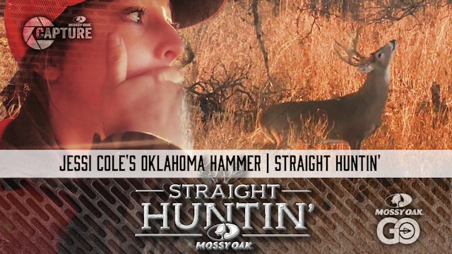 Jessi Cole's Oklahoma Hammer • Straight Huntin'