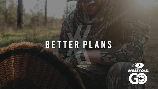 Better Plans • UNDIVIDED