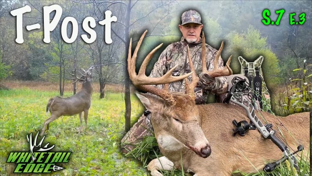 T-Post • Whitetail Edge