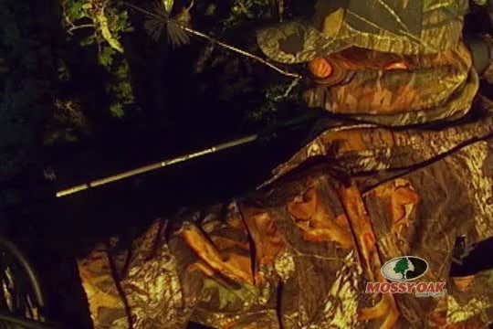 Seasons in the Field • Hal Sutton Bow Hunting Whitetails