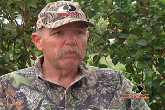 Vitamin C • Orange Bushes and Turkey Calling