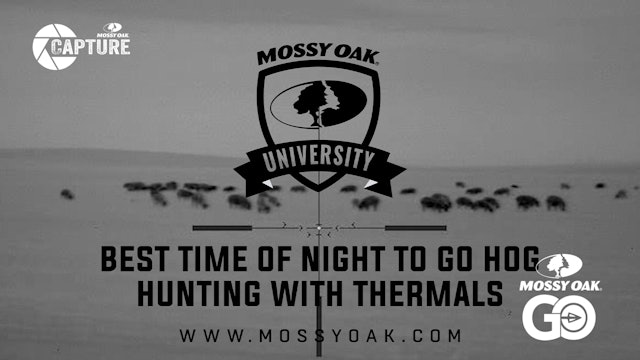 Best Time Of Night To Hunt Hogs With Thermal Night Vision.Mp4