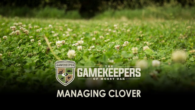 Managing Clover • Gamekeepers