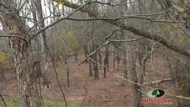 Mississippi River Bucks • Archery Hit...