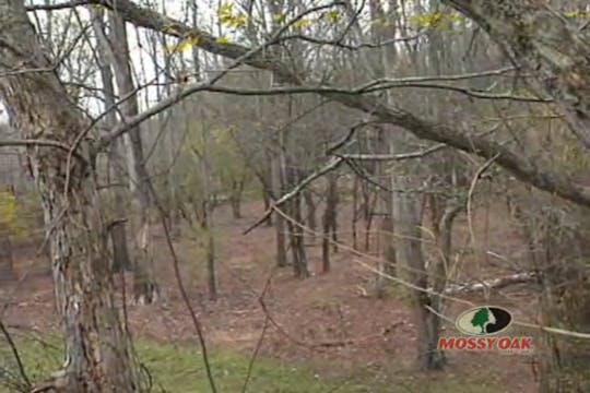 Mississippi River Bucks • Archery Hit...