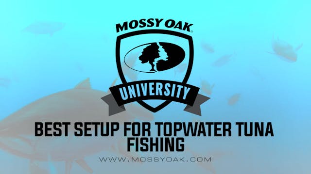 Topwater Tuna Fishing Setup