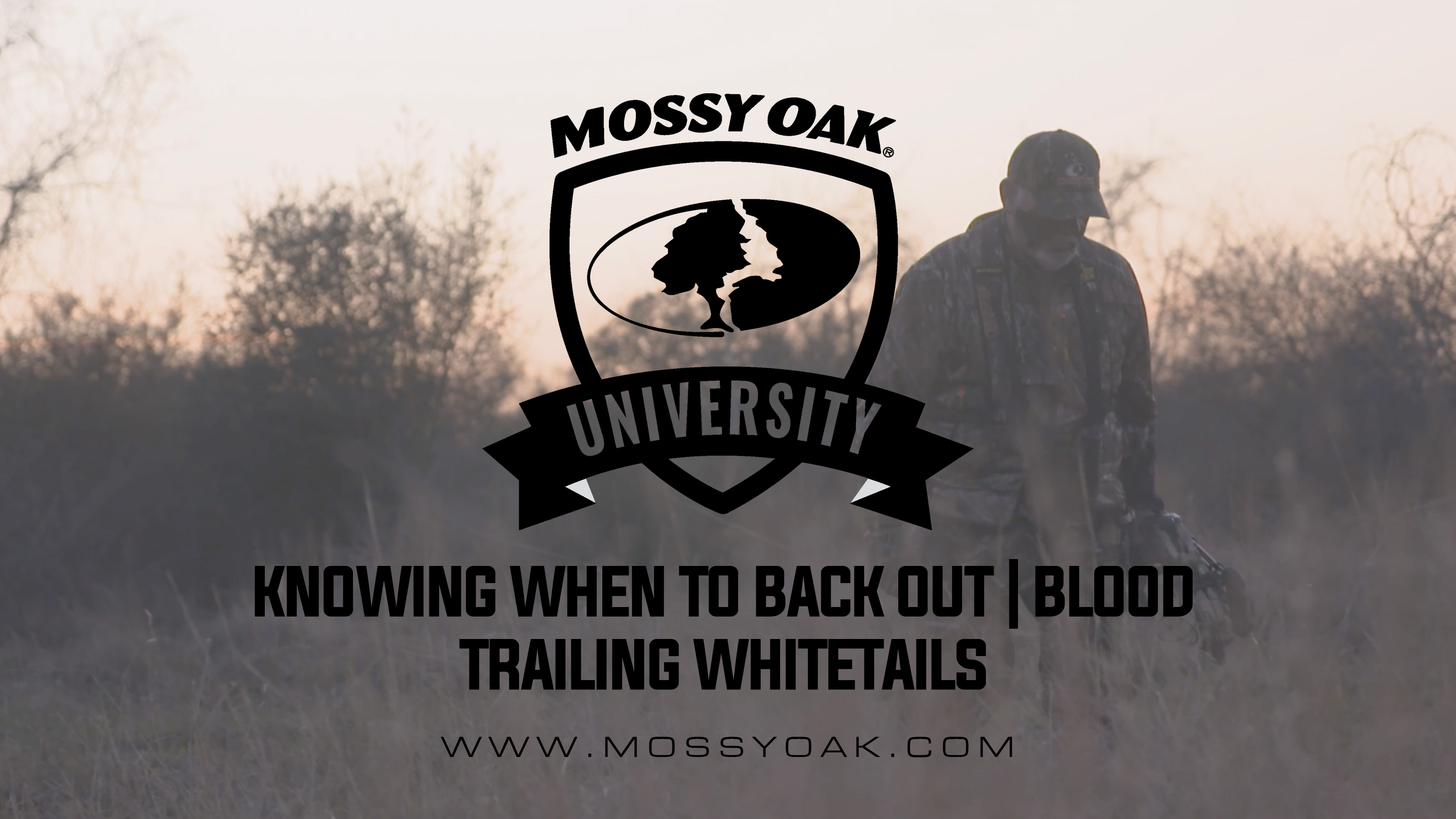 Knowing When to Back Out and Give the Deer Time