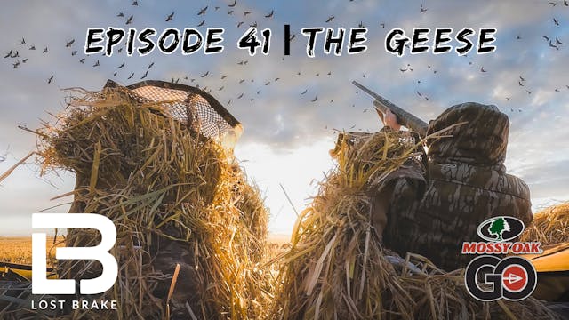 Lost Brake • The Geese • Episode 41