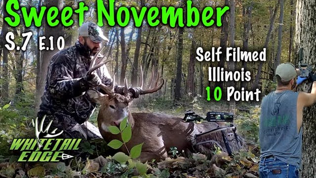 Sweet November • Whitetail Edge