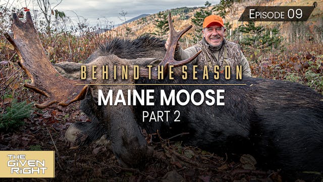 Maine Moose Part 2 • Behind the Season