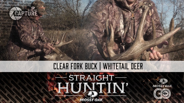 Clear Fork Buck • Whitetail Deer • Straight Huntin