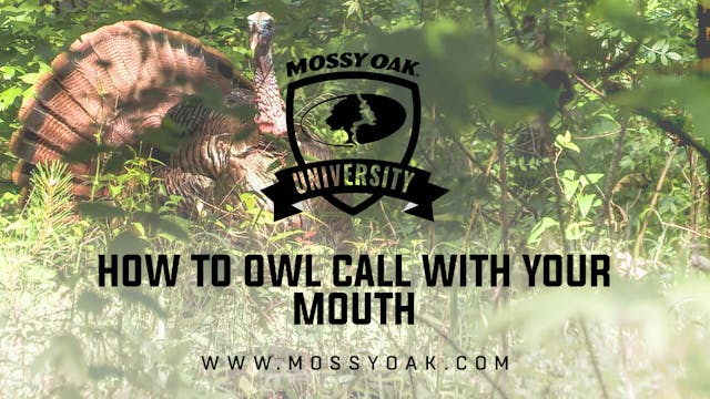 How to Owl Call with Your Mouth