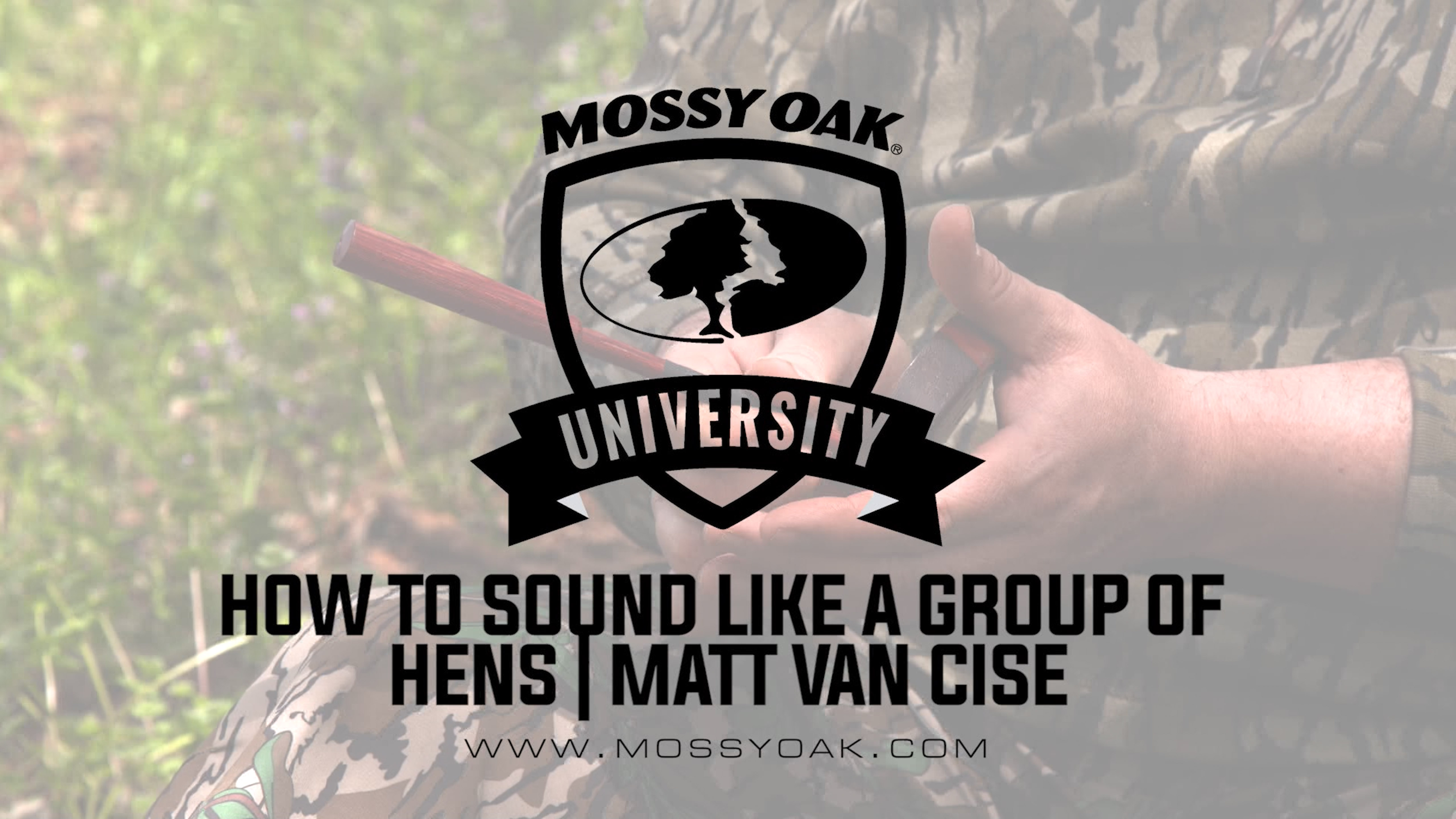 Using Multiple Calls to sound like multiple turkeys