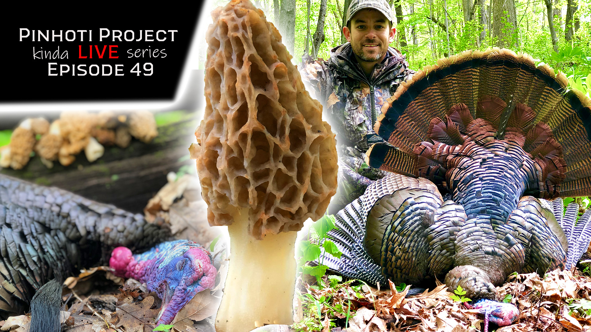 Kinda Live • Episode 49 • Pinhoti Project