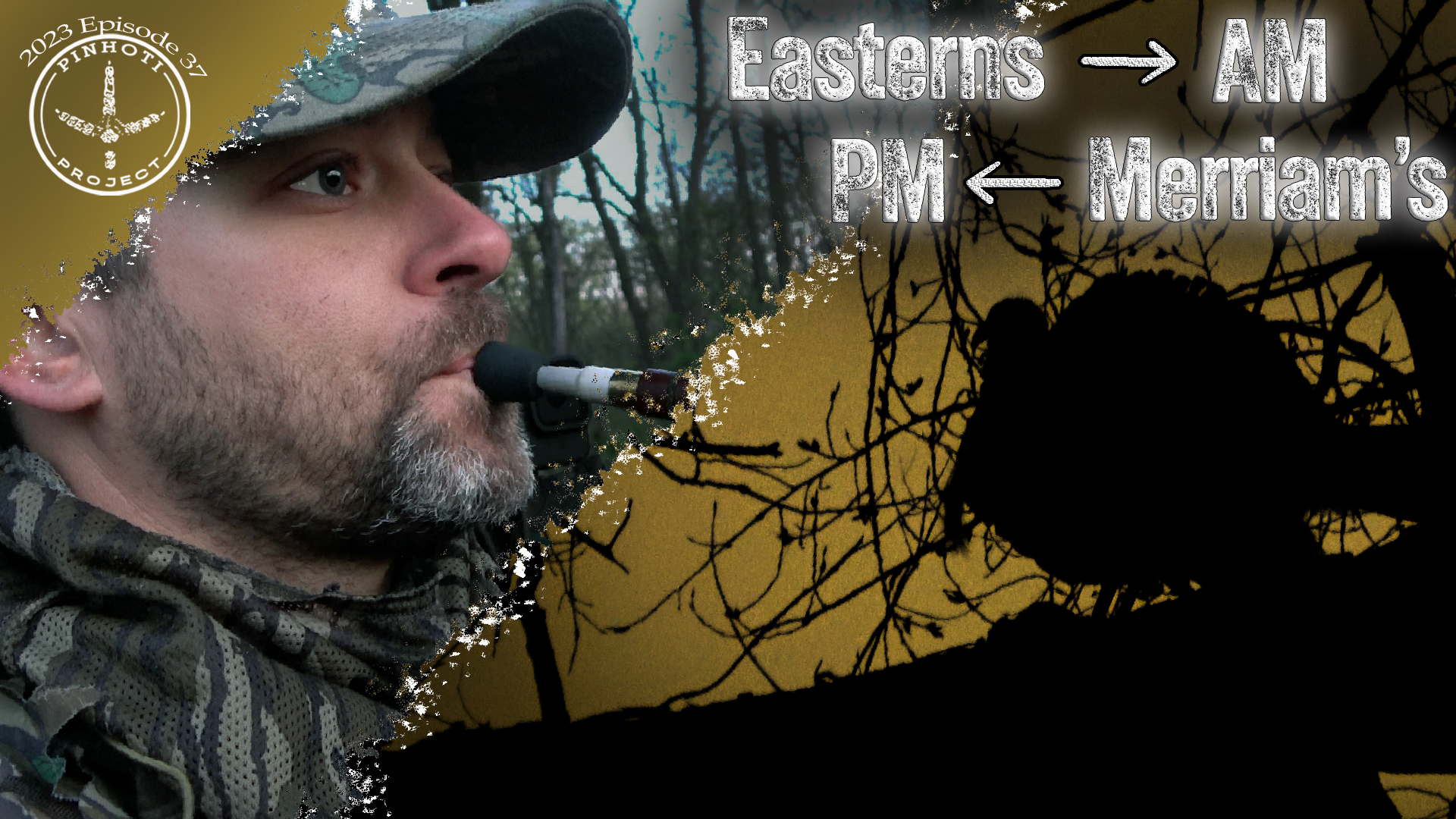 Pinhoti 2023 Ep 37 • Pinhoti Project