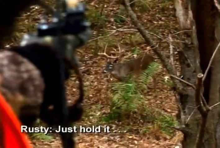 Blame it on the Vane • Whitetails in Mississippi