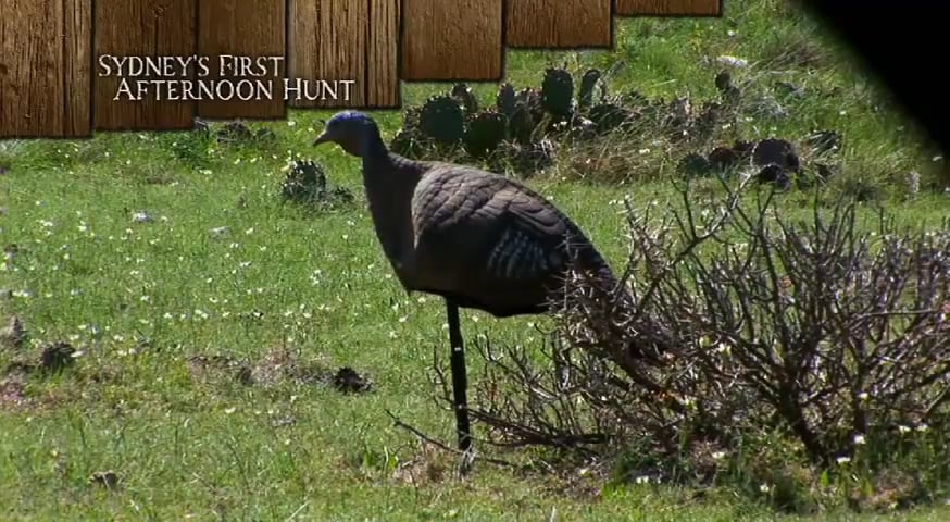 A Little Dad and Daughter Time • Turkey Traditions