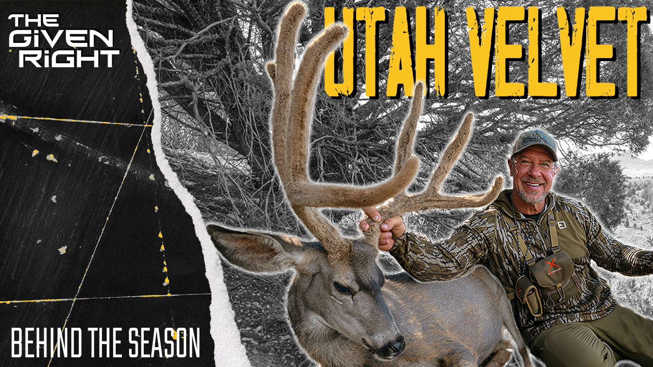 Bow Hunting Velvet Bucks in Utah | Last-Minute Success! • Behind the Season