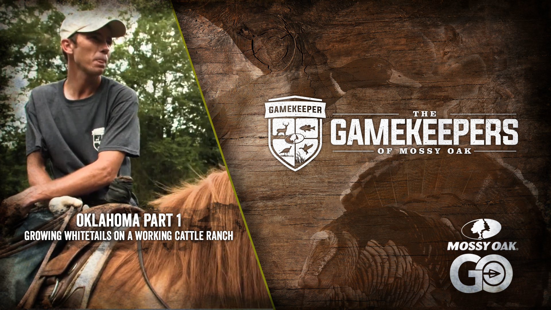 Oklahoma Part 1 • Growing Whitetails on a Working Cattle Ranch