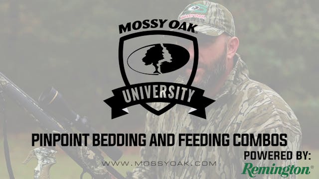 Hunt Where Bed & Food Adjoin • Mossy ...