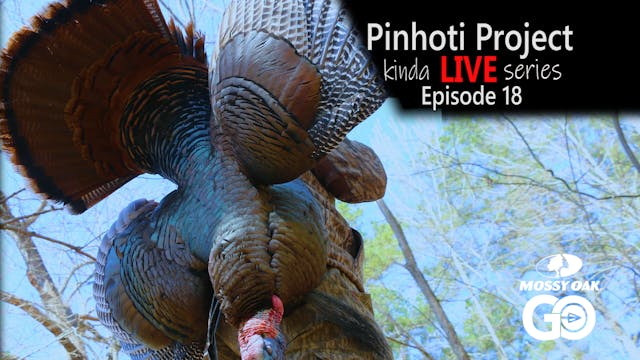 Kinda Live • Episode 18 • Pinhoti Pro...
