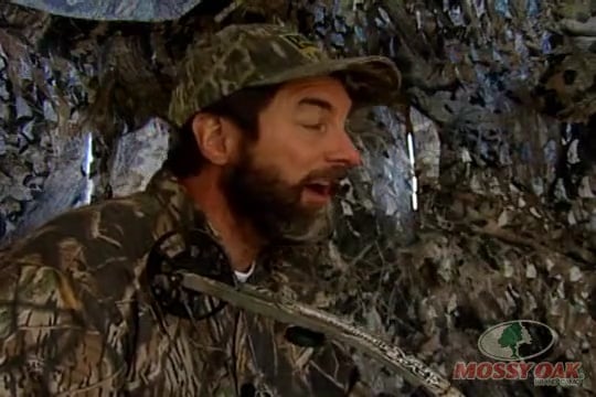 Will Primos Antelope Bow Hunt