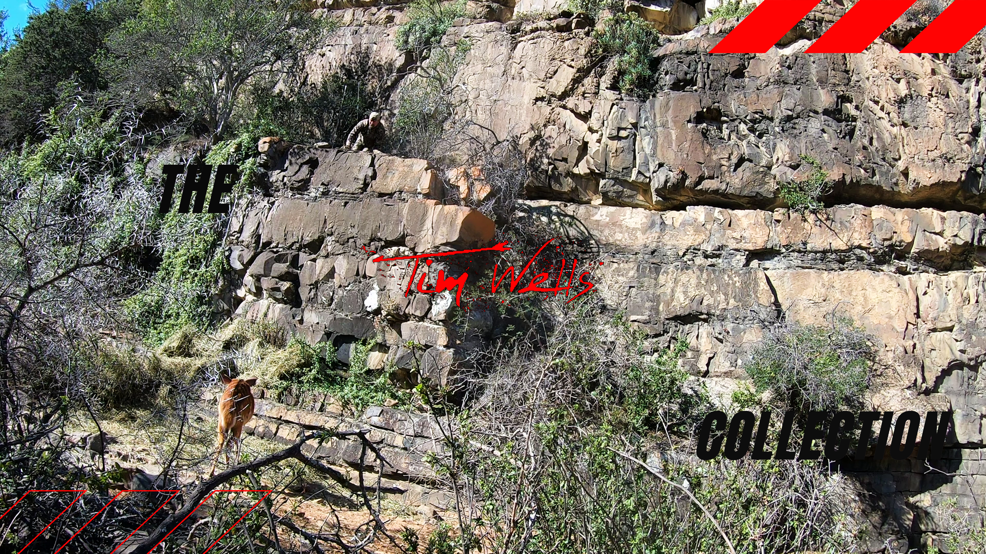 Cliff Hanger • Tim Wells