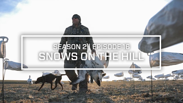 Last Pass Episode 16 • Snows on the Hill