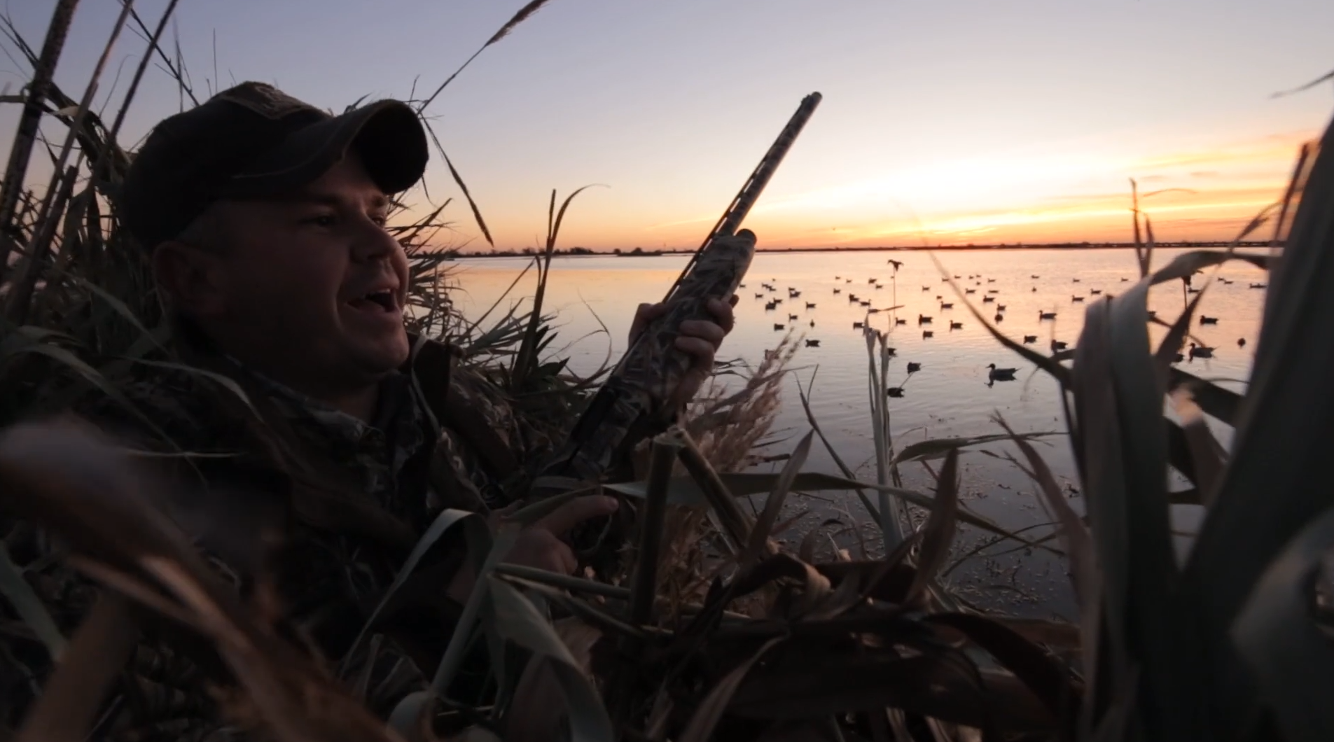 Texas Teal • DU TV