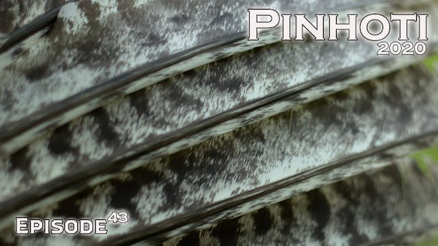 Pinhoti 2020 Ep 43 • Pinhoti Project