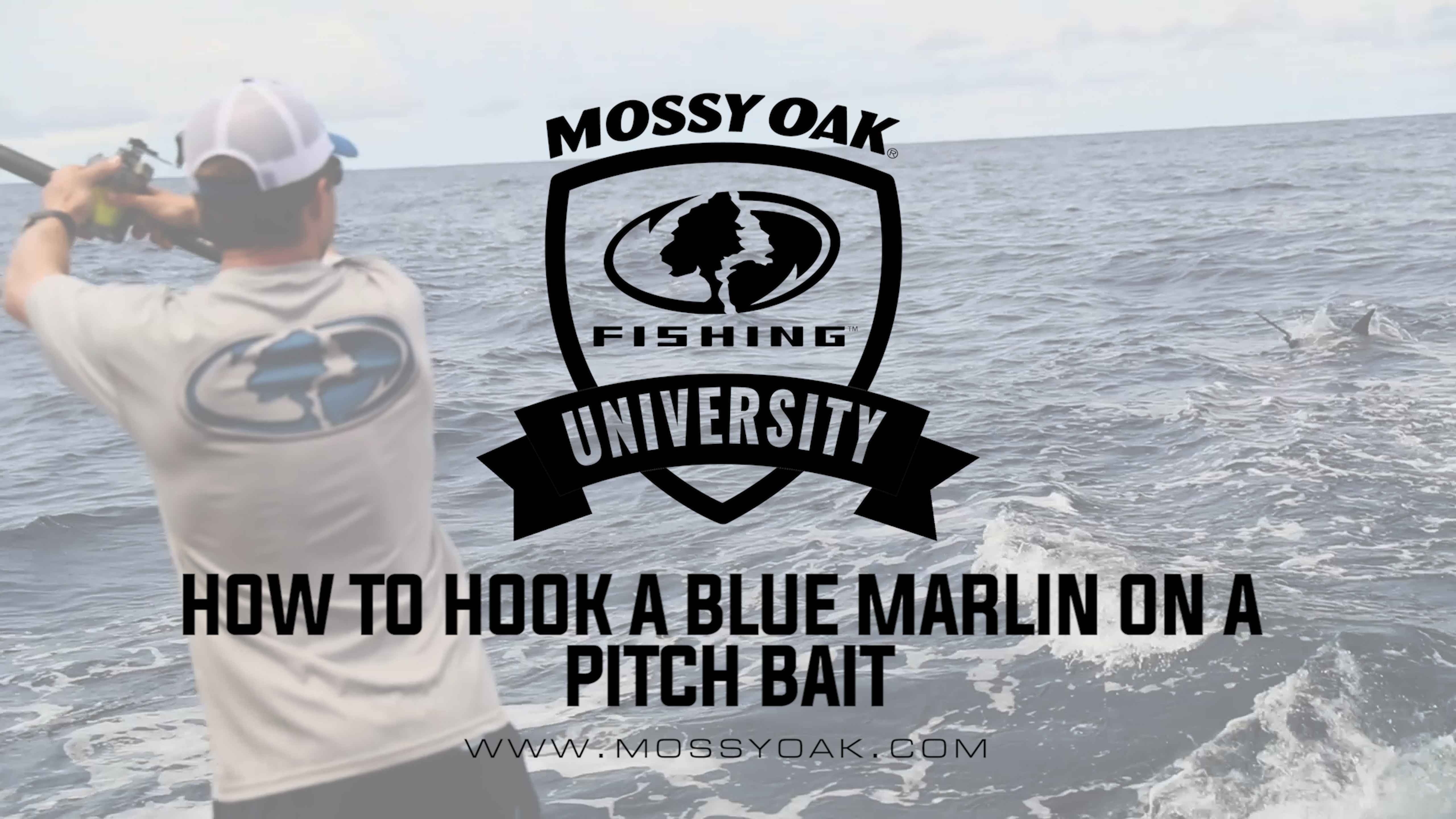 How to Hook a Blue Marlin on a Pitch Bait • Mossy Oak University