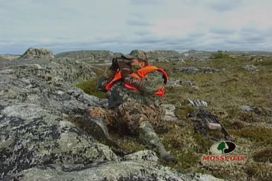 Stop or I’ll Shoot • Caribou Hunting in Canada