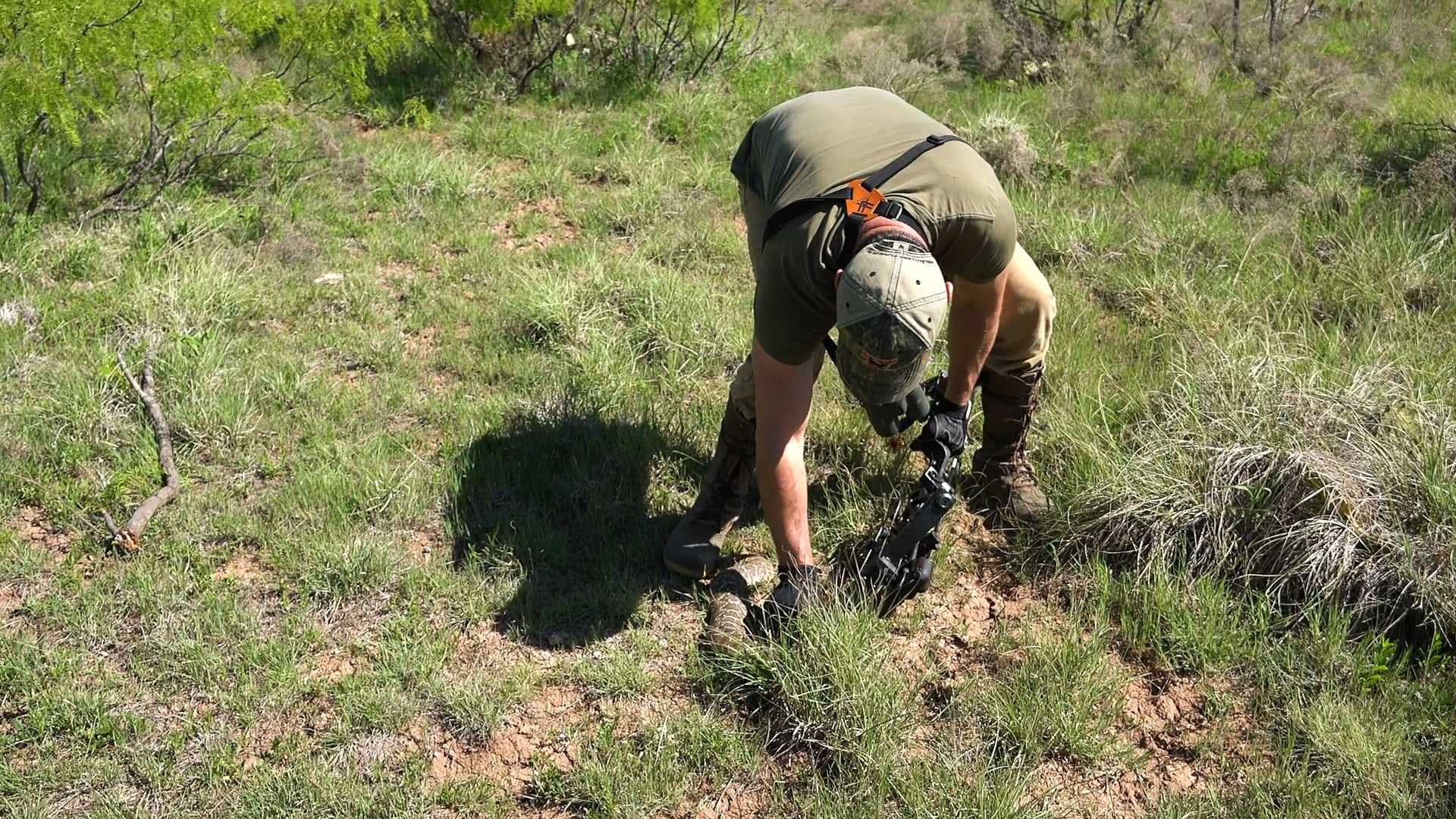 Deadly Snakes • Tim Wells