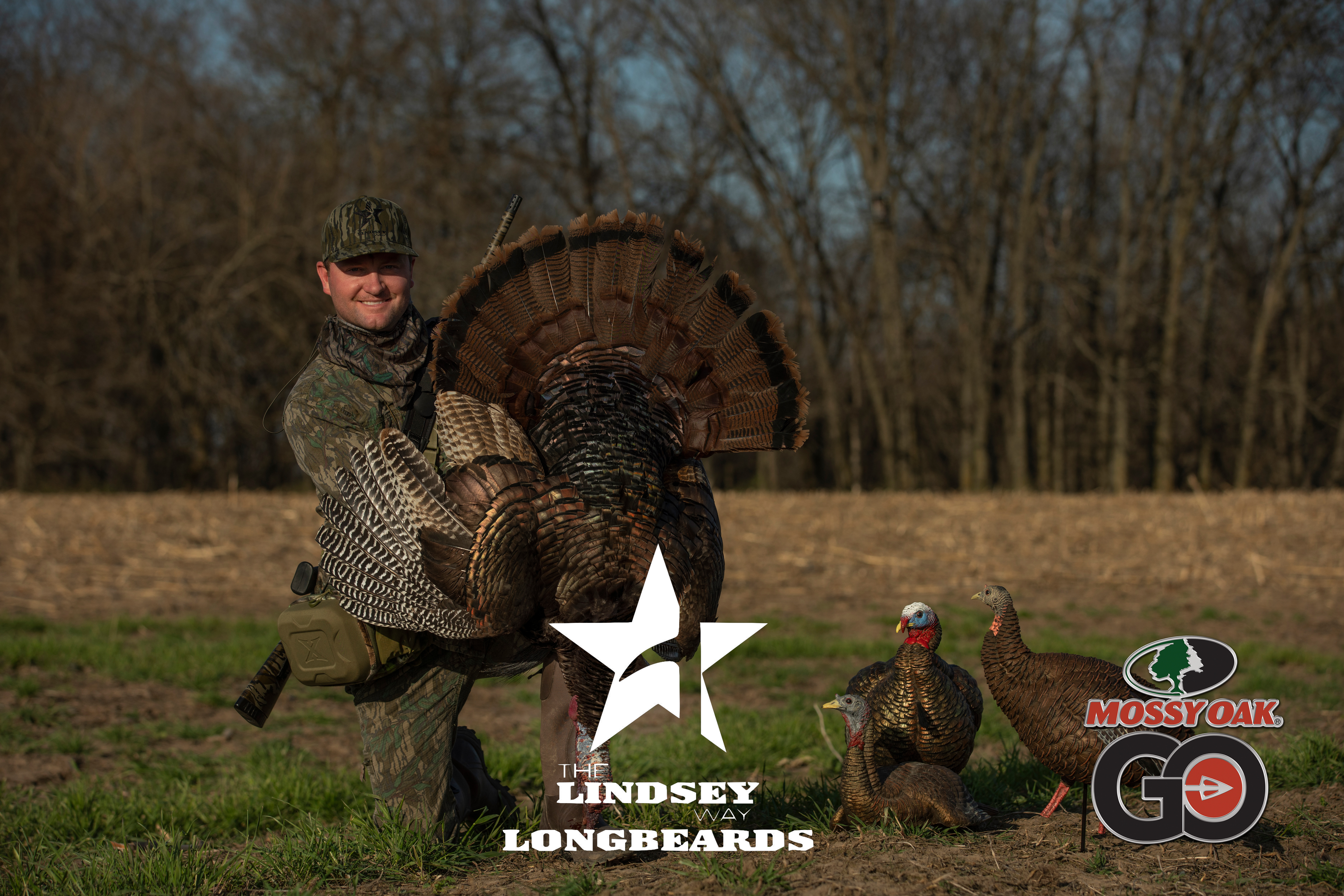 Windy Day Cornfield Strutter • Lindsey Way Longbeards