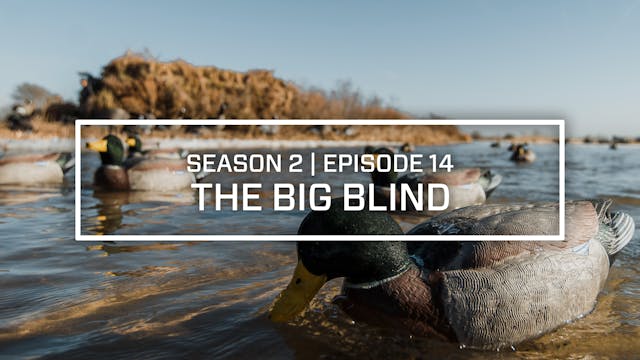 Last Pass Episode 14 • The Big Blind