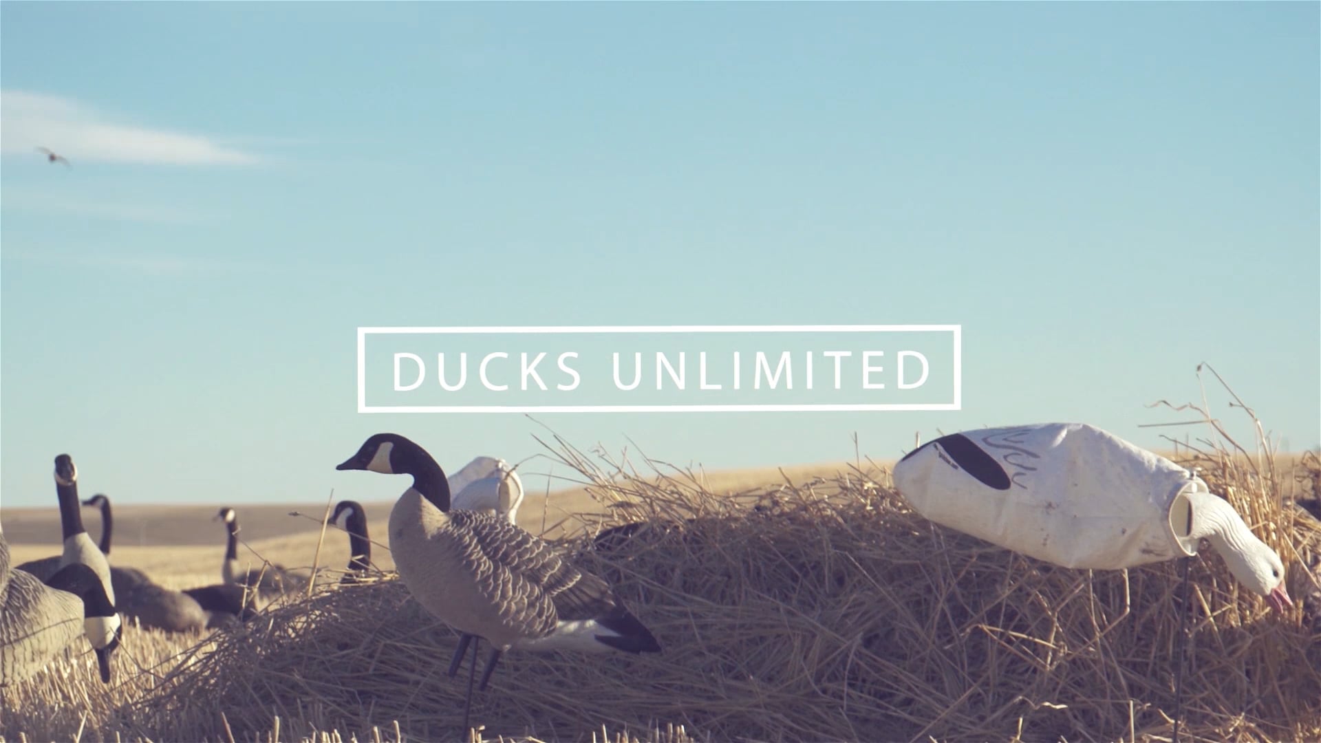 2019-2020 Best Of • DU TV