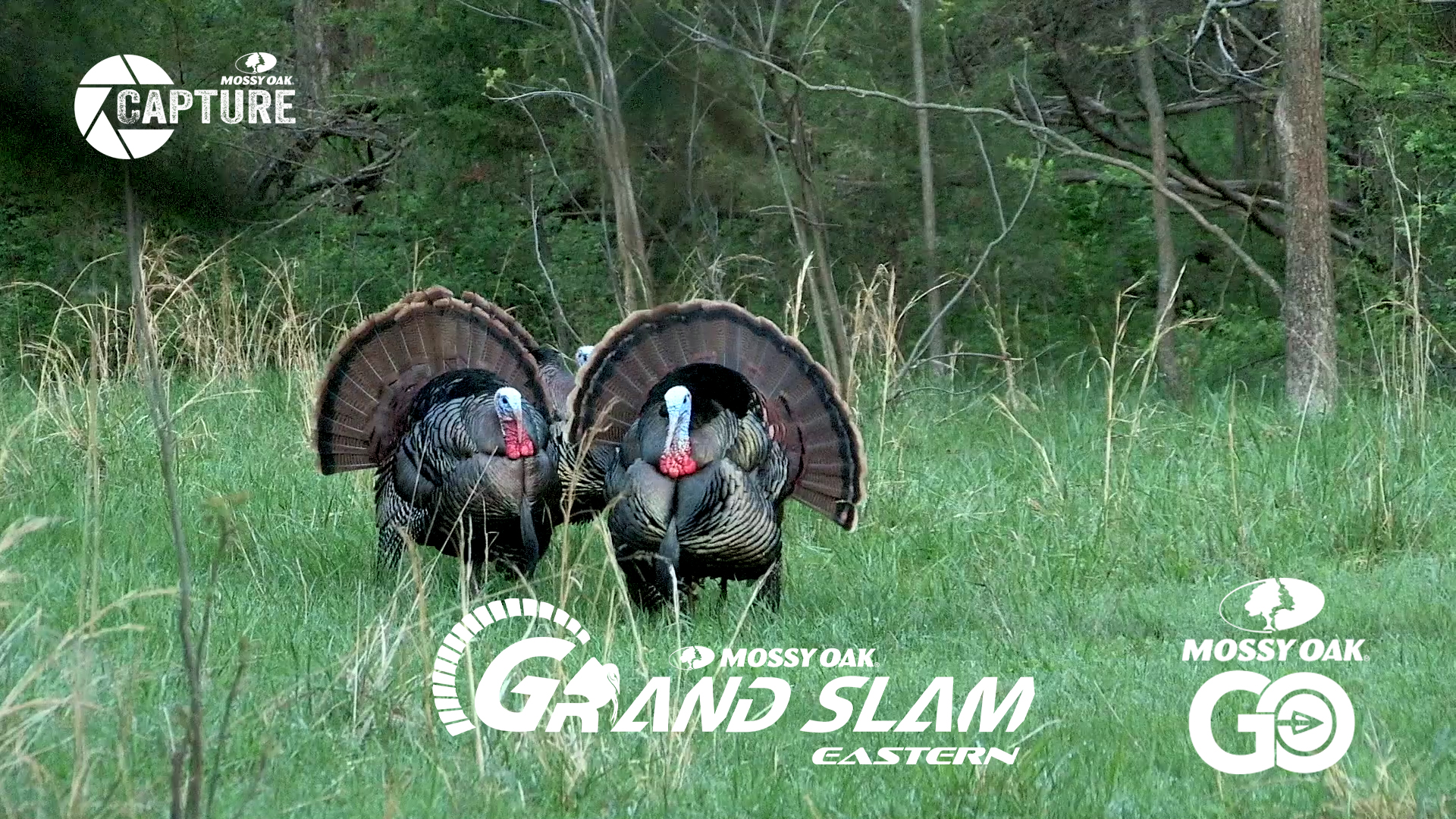 Grand Slam • Episode 4 • Easterns