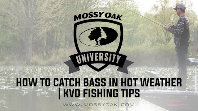 How to Catch Bass in Hot Weather • KVD Fishing Tips
