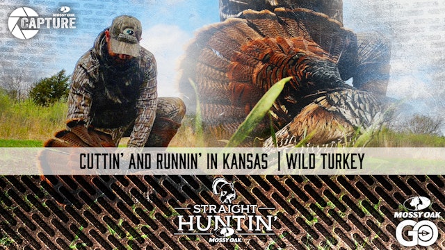 Cuttin' and Runnin' in Kansas • Wild Turkey • Straight Huntin'