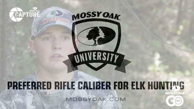 Preferred Rifle Caliber for Elk Hunting • Mossy Oak Univeristy